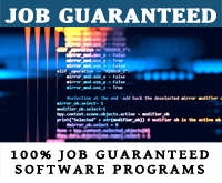 100% Software Job
